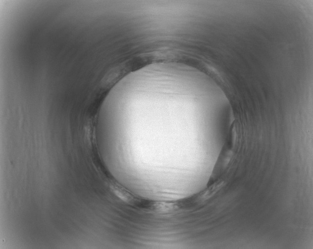 X0000066010333200603312029