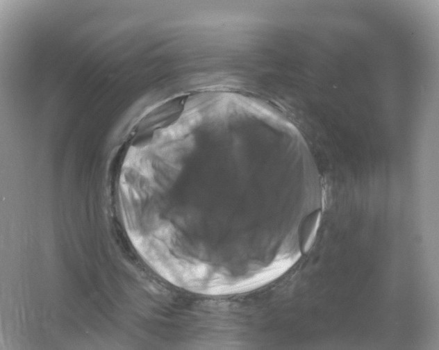 X0000066010339200603312029