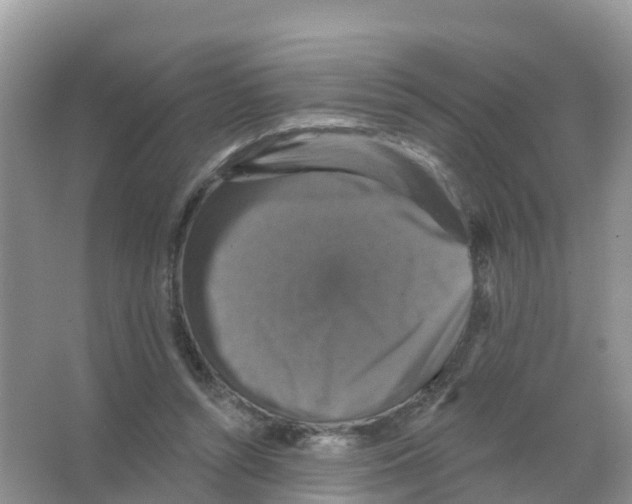 X0000066010352200603312029