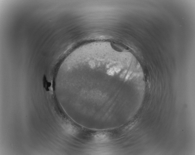X0000066010358200603312029