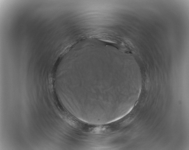 X0000066010366200603312029