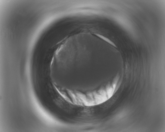 X0000066010383200603312029