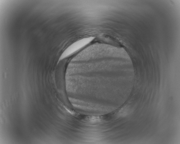 X0000066010384200603312029