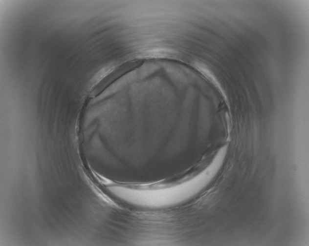 X0000066010389200603312028
