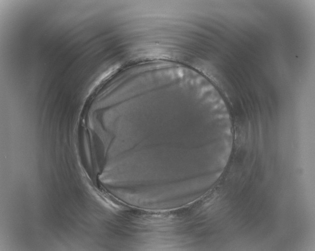 X0000066010390200603312028