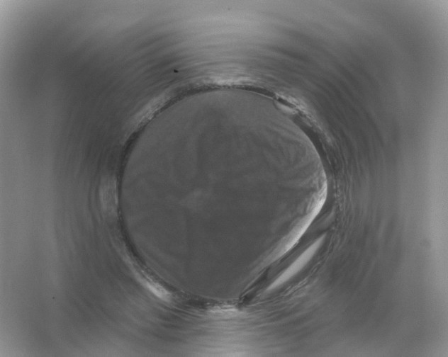X0000066010397200603312028
