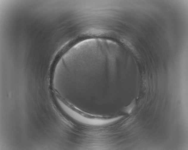 X0000066010399200603312028