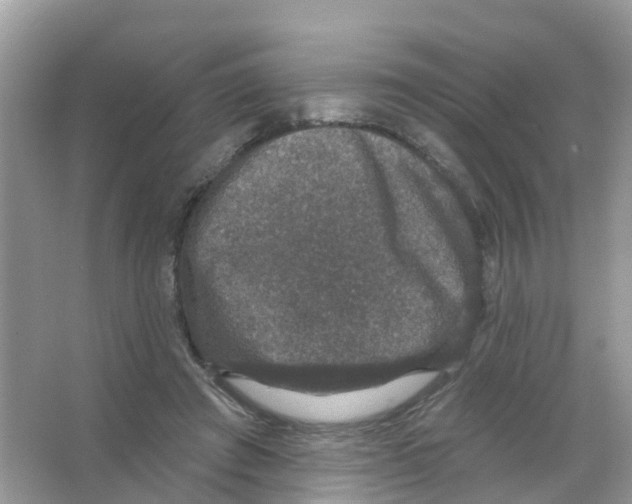 X0000066010401200603312028