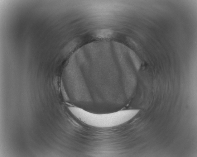 X0000066010428200603312028