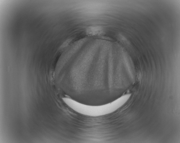 X0000066010429200603312028