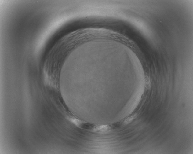 X0000066010431200603312028