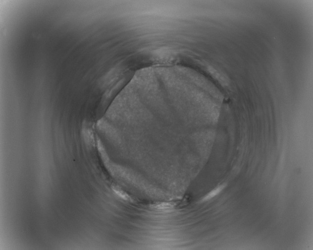 X0000066010432200603312028