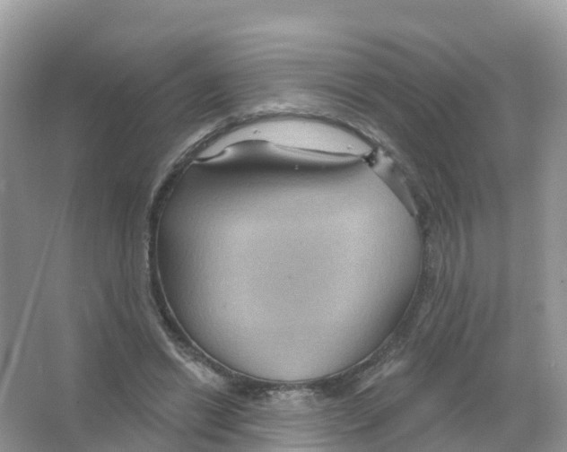 X0000066010446200603312027