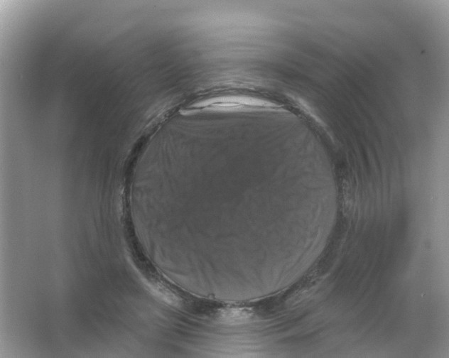 X0000066010451200603312027