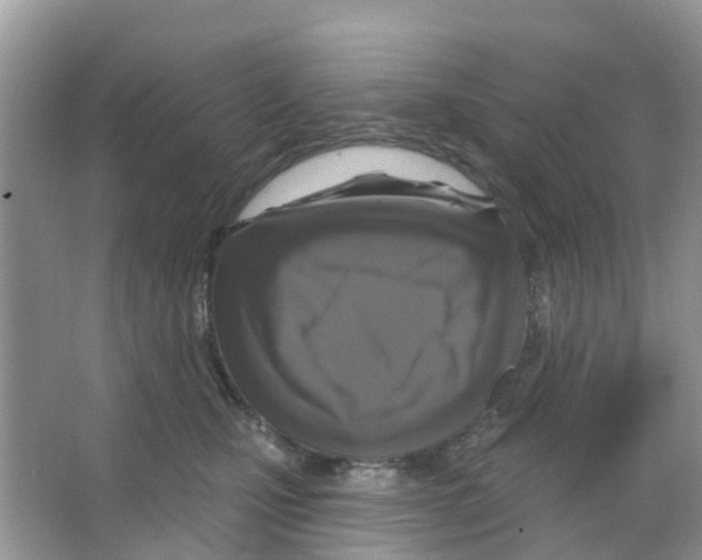 X0000066010471200603312027