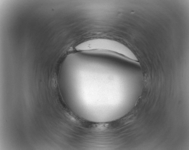 X0000066010474200603312028
