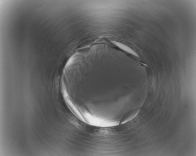 X0000066010475200603312028