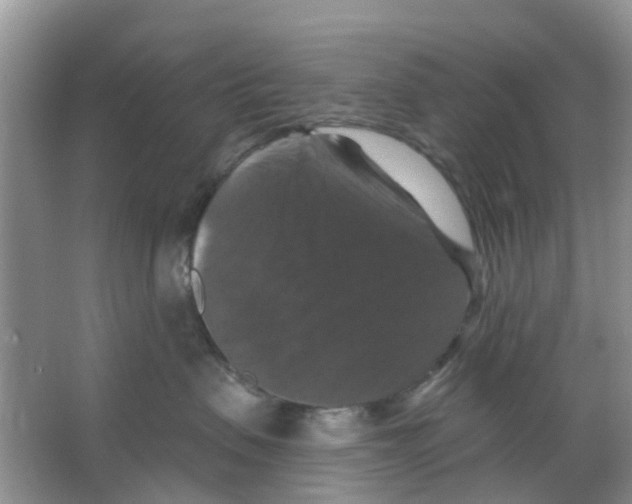 X0000066010479200603312028