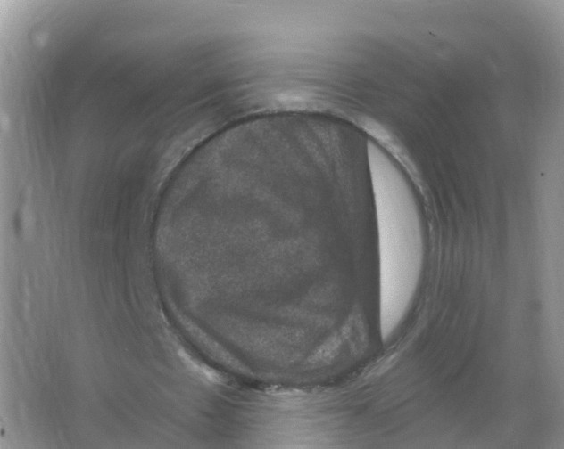 X0000066010481200603312027
