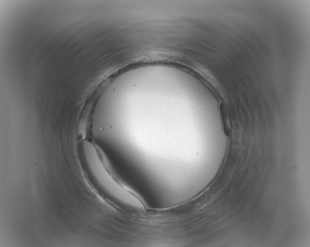 X0000066010485200603312027