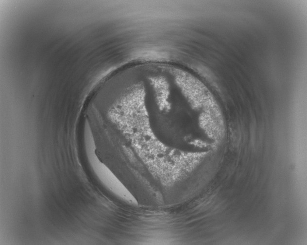 X0000066010487200603312027