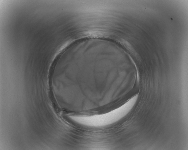 X0000066010488200603312027