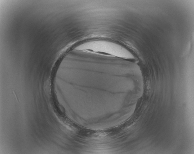 X0000066010492200603312027