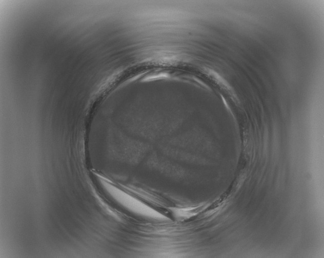 X0000066010493200603312027