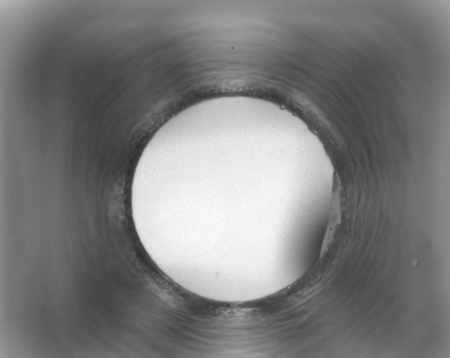 X0000066010497200603312027