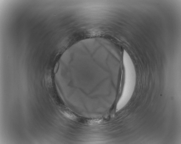 X0000066010516200603312026