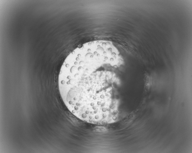 X0000066010519200603312026