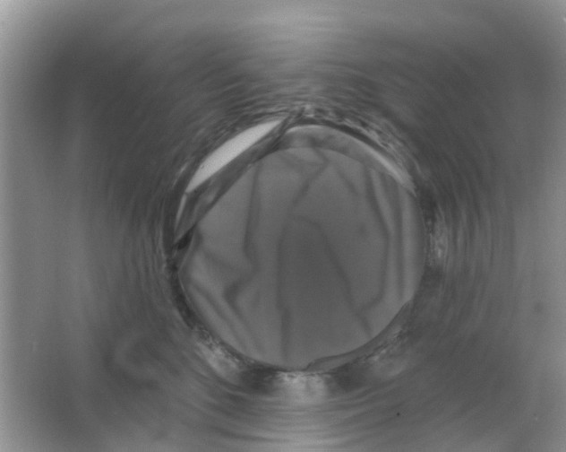 X0000066010520200603312026