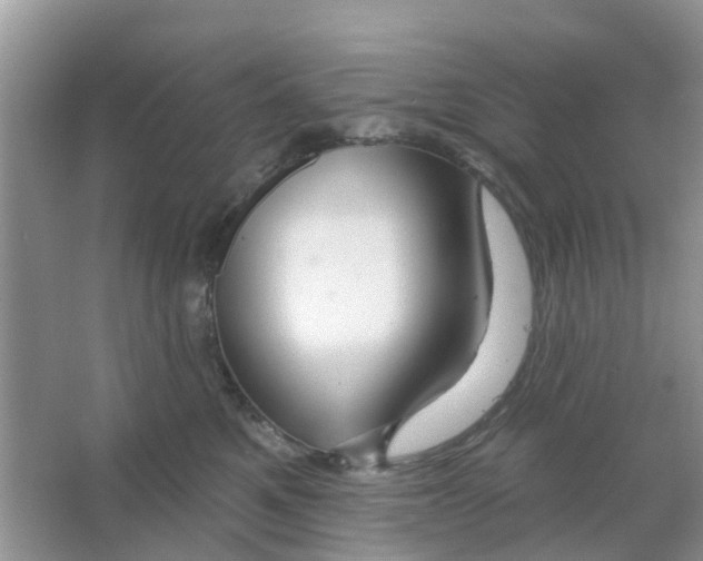 X0000066010521200603312026