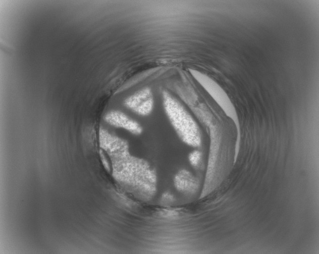 X0000066010523200603312026