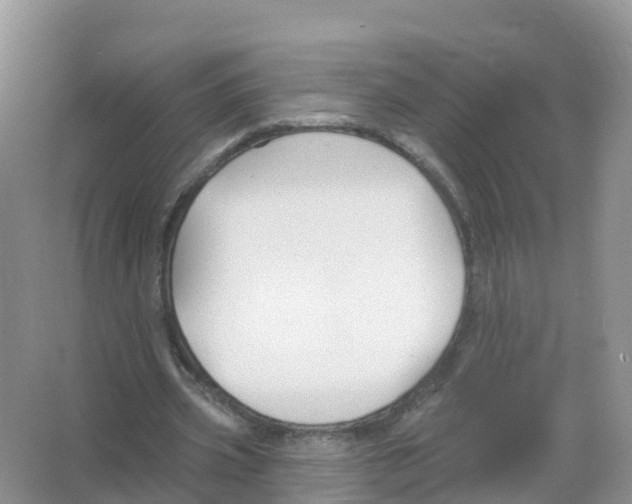 X0000066010533200603312025