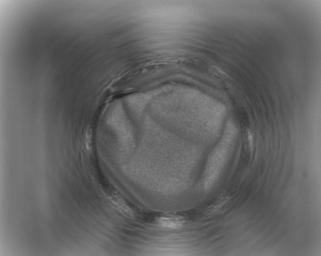 X0000066010556200603312026