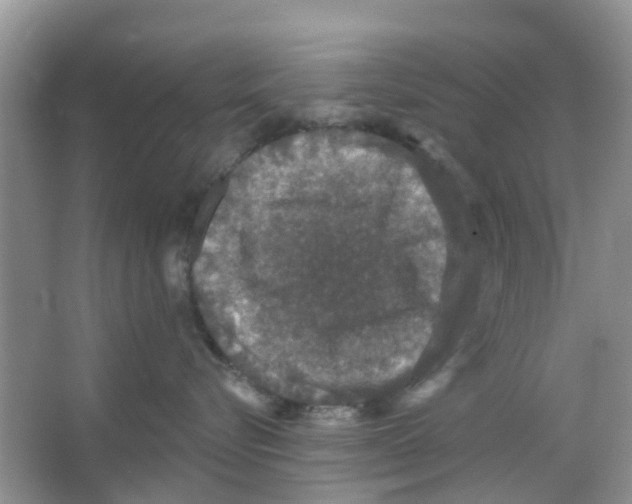 X0000066010576200603312026