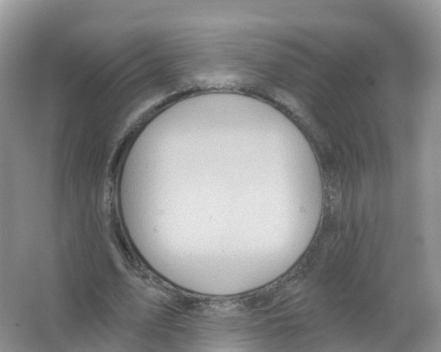 X0000066010583200603312025