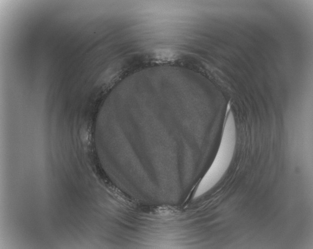 X0000066010608200603312025