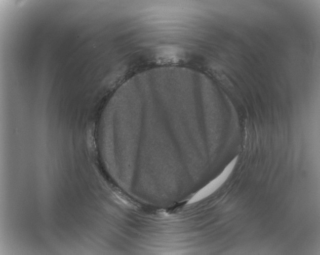X0000066010616200603312025