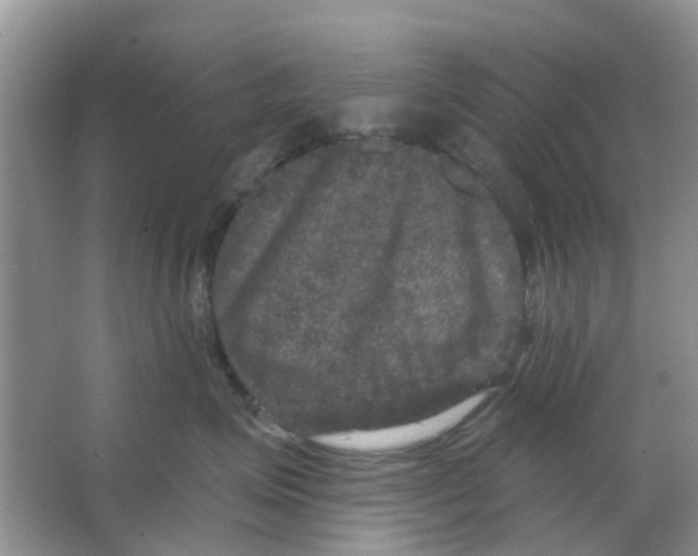 X0000066010623200603312024