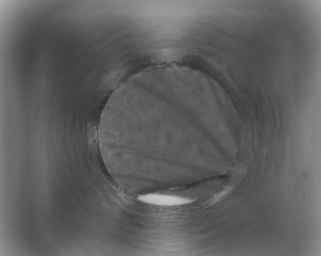 X0000066010624200603312024