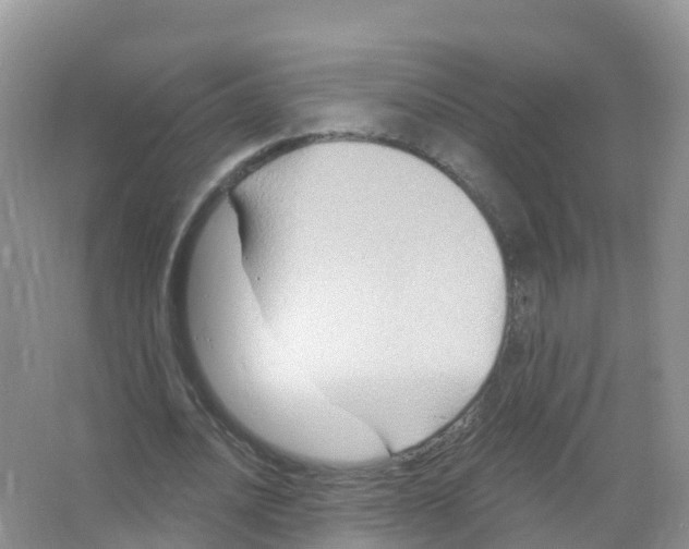 X0000066010628200603312024