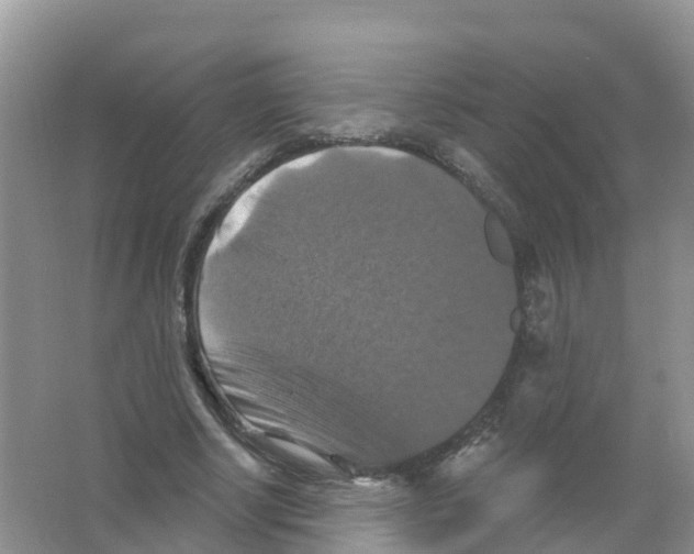 X0000066010634200603312024