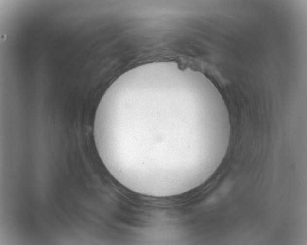 X0000066010672200603312024