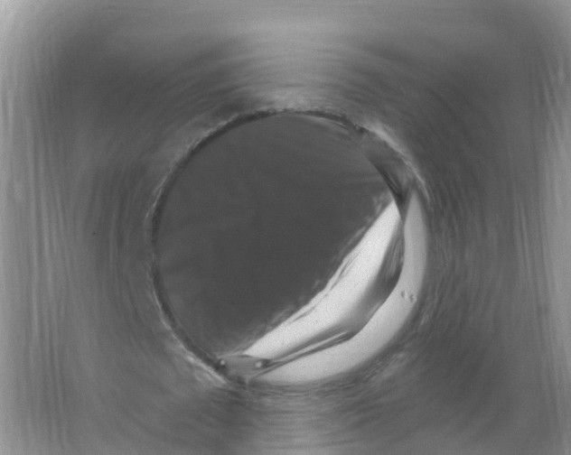 X0000066010673200603312024