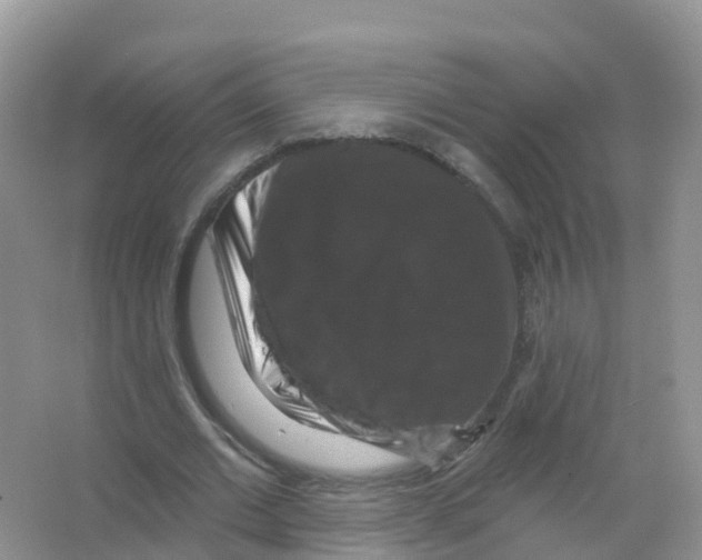 X0000066010677200603312024