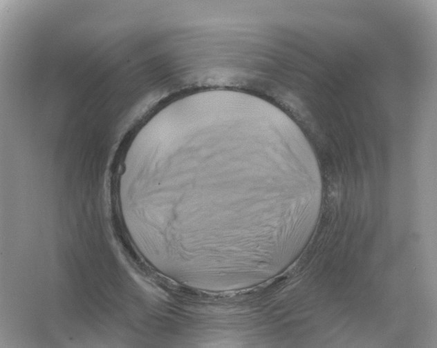 X0000066010678200603312024