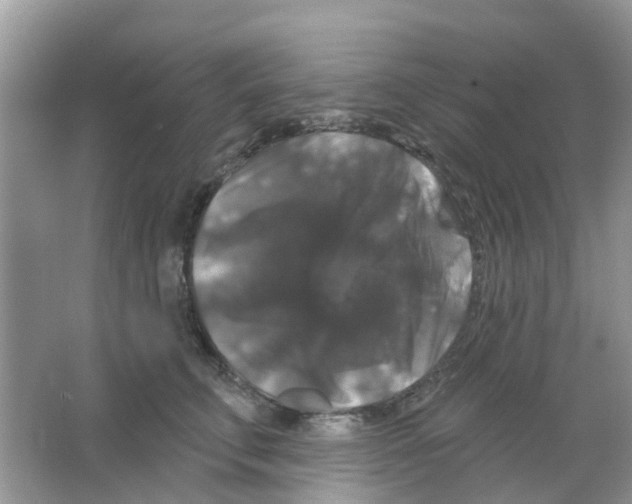 X0000066010711200603312023
