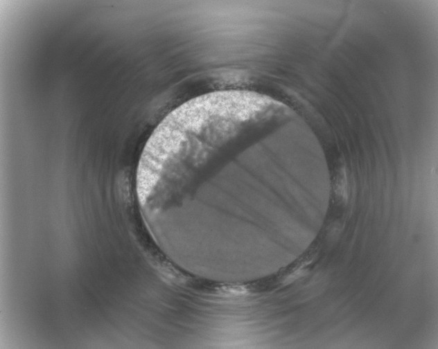 X0000066010715200603312023